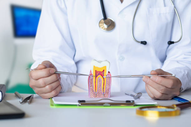 Best Root Canal Emergency Dentist  in Olmsted Falls, OH